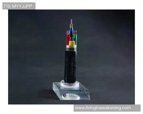 pg电子有规律吗-pg电子有规律吗